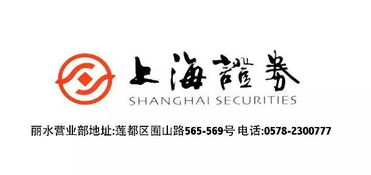 上海證券麗水營(yíng)業(yè)部開(kāi)業(yè)盛典，投資控股引領(lǐng)財(cái)富未來(lái)